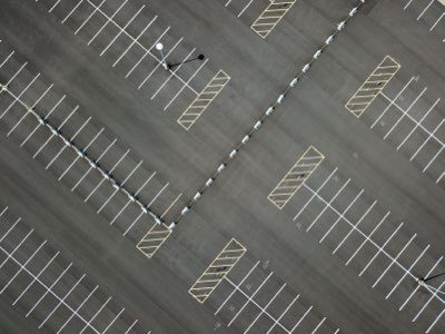 Socialización de loros: clave de los primeros 30 días de vida