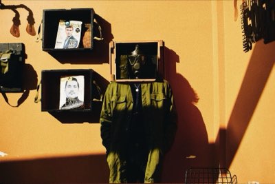 Papegaai socialiseren: 4 stappen voor een sterke band
