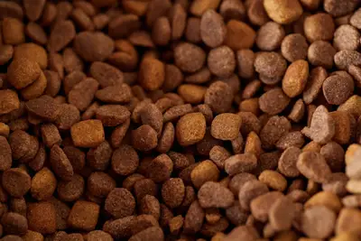 Comment la contamination des aliments animaux se propage-t-elle ?