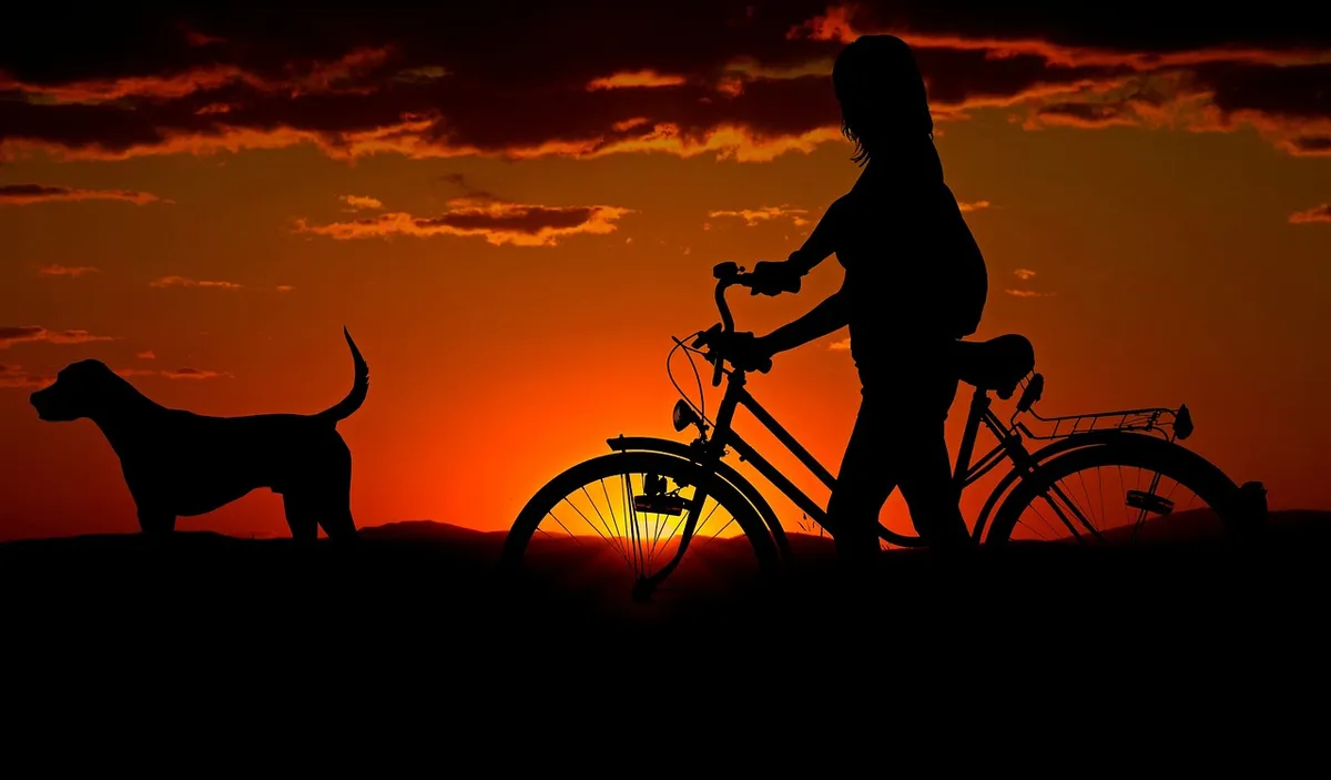 woman, animal, bike, sunset, nature, walk, silhouettes, girl, dog, pet, owner, travel, dusk, twilight, backlighting, orange sky, afterglow
