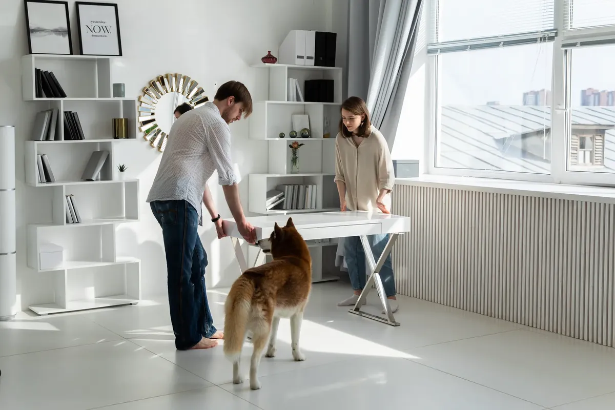 A couple sets up a home office in a bright room with their pet dog watching.