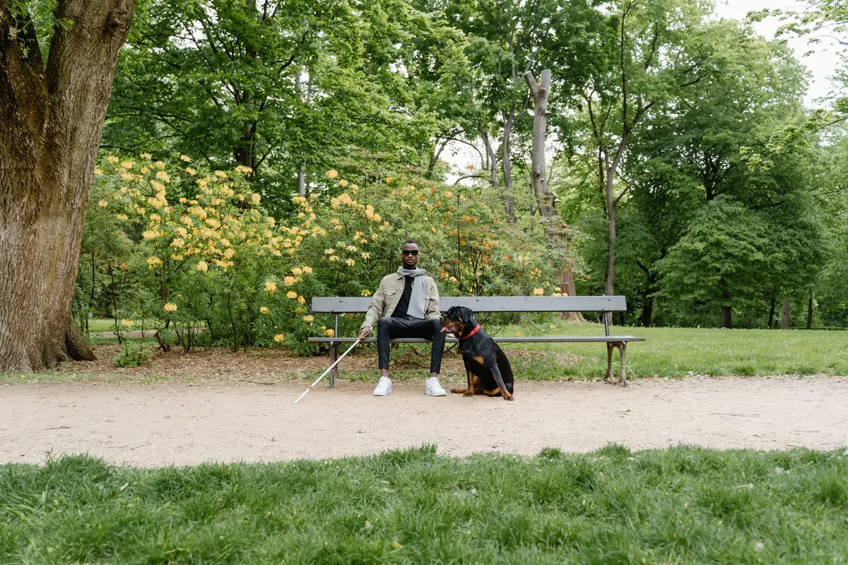 目の前のない男性が公園のベンチに座り、その男性の導き犬が周囲を囲んでいます。周囲には豊かな緑の木と花が咲いています。
