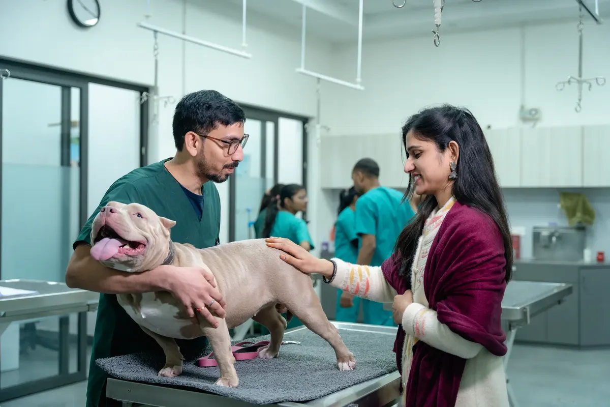 A vet examines a dog with its owner at a veterinary clinic.