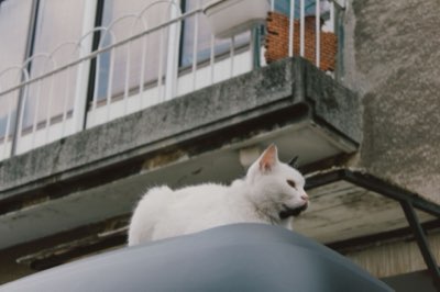 Voeding wisselen: De 7-daagse geleidelijke overgangsguide