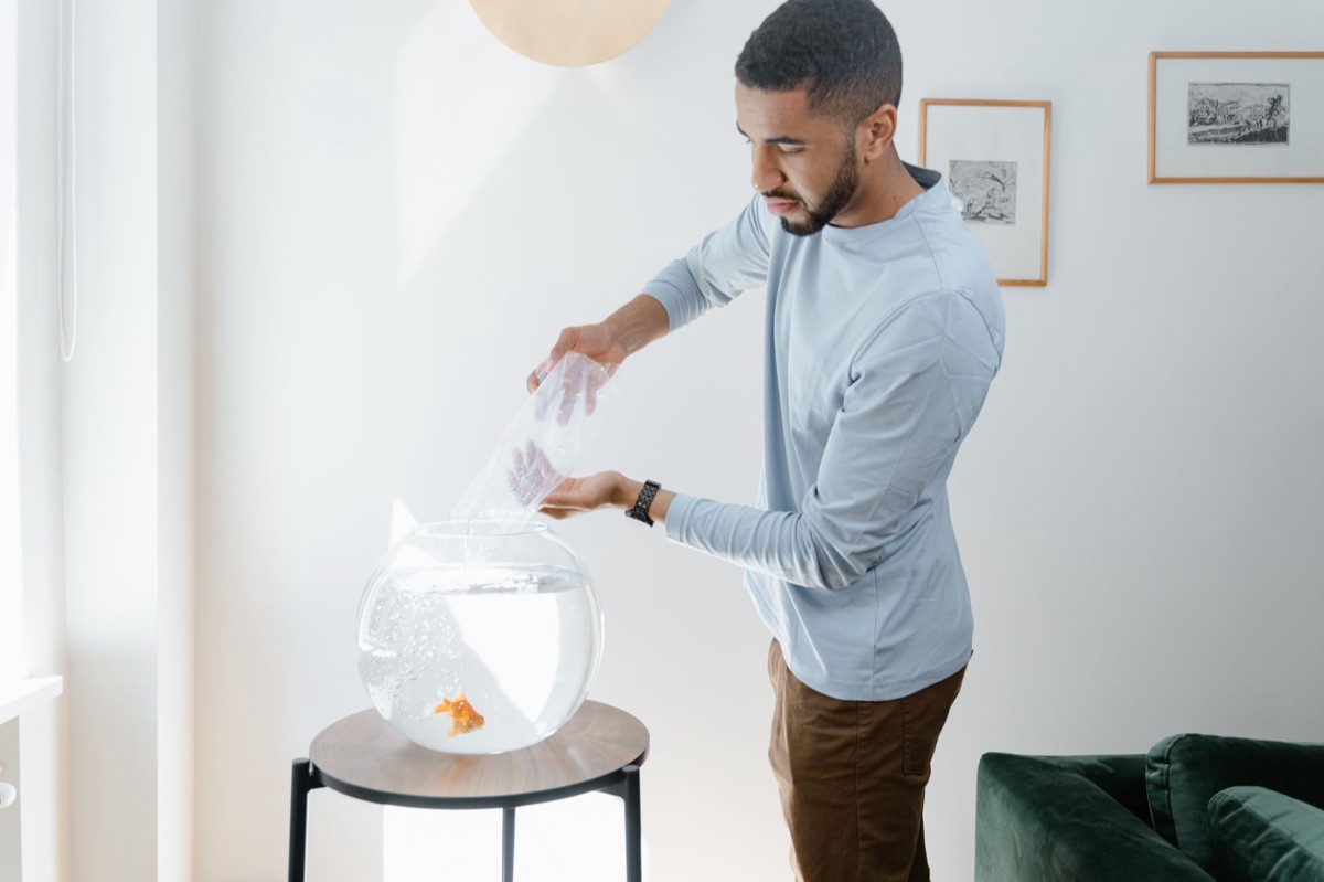 Aquarium cleaning : nettoyage du gravier