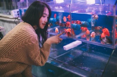 新手養魚魚缸大小選擇指南：30到60公升的平衡點